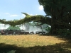 tekken-tag-tournament-2_2012_04-17-12_006
