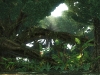tekken-tag-tournament-2_2012_04-17-12_007
